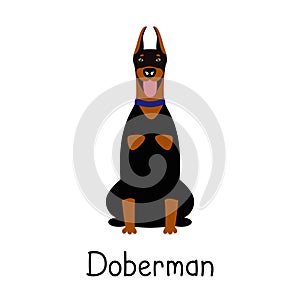 Vector cute dog Doberman Pinscher
