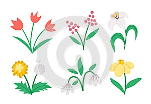 Vector cute flat spring flowers icons set. First blooming plants illustration. Floral clip art collection. Tulips, dandelion,