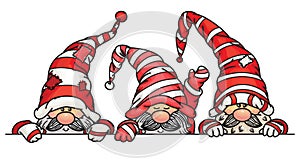 Vector  cute gnomes cartoons hiding  by blank. photo