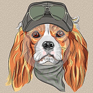 Vector Cute hipster dog Cavalier King Charles Span