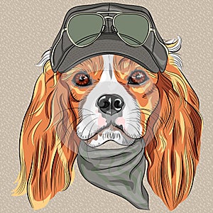 Vector Cute hipster dog Cavalier King Charles Span photo