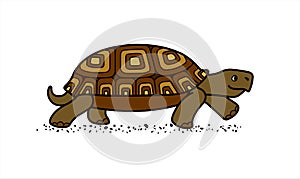 Vector cute land tortoise with patterned shell, side view; isolated on a white background; symbol of slowness
