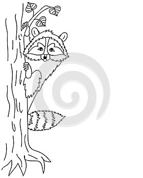 Vector Cute Raccoon Sitting on Tree, Coon Clipart