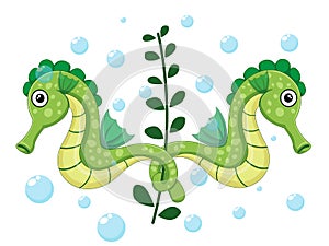 Vector cute seahorse isolated on white background. Sea animal vector illustration