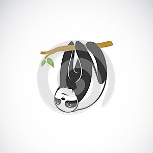 Vector of cute sloth hanging on the tree branch on white background. Adorable rainforest animals. Sloth logo or icon.