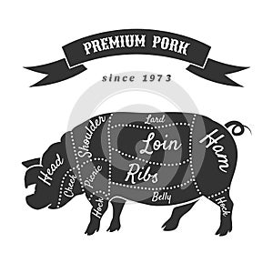 Vector cuts of pork or butcher scheme pig