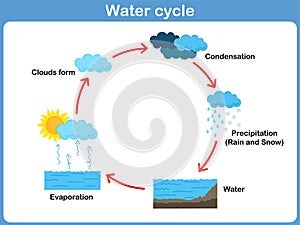 Vettore ciclo da Acqua 