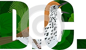 Vector D.C. - American District of Columbia word with Wood thrush Hylocichla mustelina