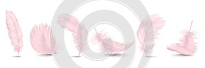 Vector 3d Realistic Different Falling Pink Fluffy Twirled Feather Set Closeup Isolated on White Background. Design photo