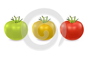 Vector 3d realistic green, yellow and red tomato icon set closeup isolated on white background. Design template, clipart