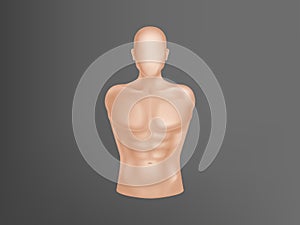 Vector 3d realistic human body, man torso photo