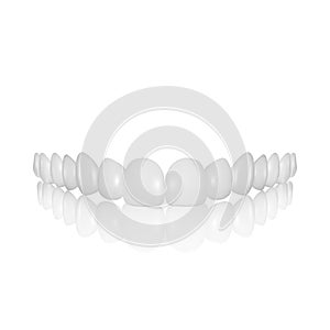 Vector 3d Realistic Render White Denture Set Closeup Isolated. Dentistry and Orthodontics Design. Human Teeth for