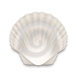 Vector 3d Realistic White Closed Scallop Pearl Seashell Icon Closeup Isolated on White Background. Design Template. Top