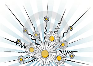Vector daisy background