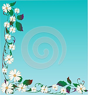 Vector Daisy Background
