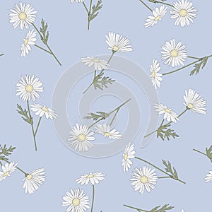 Vector Daisy Flowers in White Yellow Green on Blue Background Seamless Repeat Pattern. Background for textiles, cards