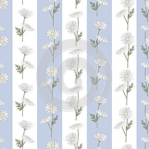Vector Daisy Flowers in White Yellow Green on Blue White Stripes Background Seamless Repeat Pattern. Background for