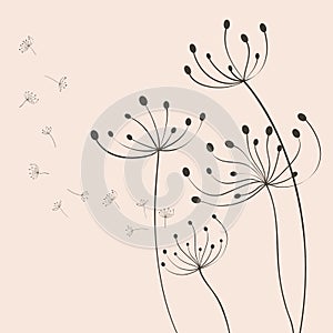 Vector dandelion