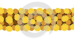 vector dandelion blossoms. natural yellow endless strip, background, template for cosmetics, gardening or spring