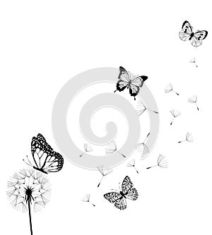 Vector dandelion with butterflies