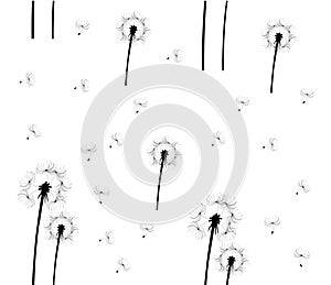 Vector Dandelion Seamless Abstract Floral Background.