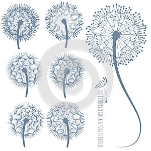 Vector dandelion silhouette