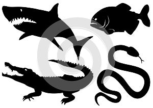 Vector dangerous predatory animals