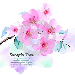 Vector decoration branch with flowers, spring cherry blossom on white background. Place for your text. Sakura Japanese cherry tree