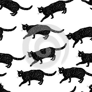 Vector decorative borders from sketches black domestic cats