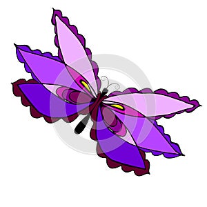 Vector decorative butterfly isolated on white background, bright illustration for childrenâ€™s clothes