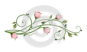 Vector decorative design element with pink rosebuds. photo