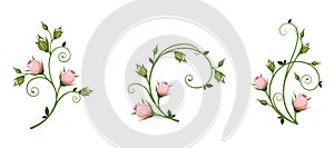 Vector decorative elements with pink rosebuds.