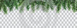 Vector decorative seamless christmas pattern or frame with green coniferous branches