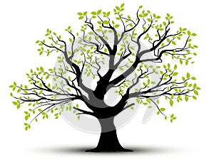 Vector decorative tree and green leaves