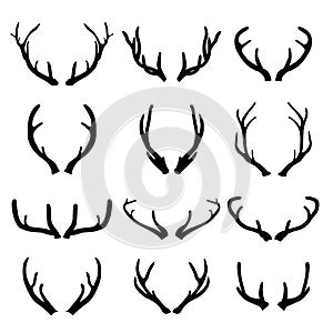 Vector deer antlers on white background