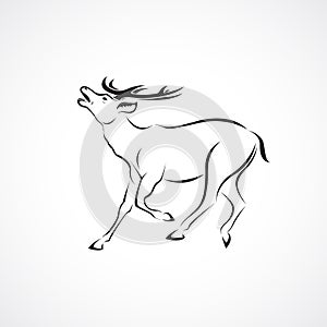 Vector of a deer design on white background. Wild Animals. Easy editable layered vector illustration