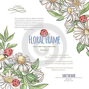 Vector delicate invitation with white camomile and laybugs for wedding, marriage, bridal, birthday, Valentine`s day