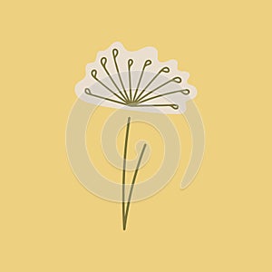 Vector Delicate stylized dandelion flowers . Doodle logo outline design illustration isolated