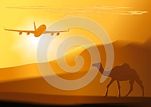 Vector desert, camel, jet.
