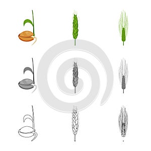 Vector design of agriculture and farming logo. Set of agriculture and plant  vector icon for stock.