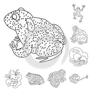 Vector design of amphibian and animal icon. Set of amphibian and nature vector icon for stock.