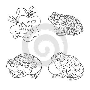 Vector design of amphibian and animal sign. Set of amphibian and nature vector icon for stock.