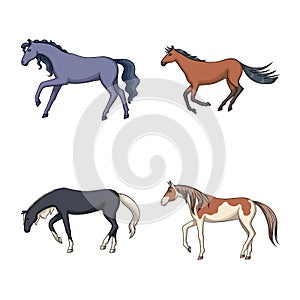 Vector design of animal and stallion logo. Collection of animal and farm stock vector illustration.