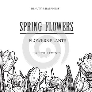 Vector design banner for flower shop and floristic shop with hand drawn flowers illustration. Vintage bouquet sketch