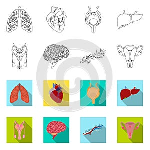 Vector design of body and human symbol. Collection of body and medical stock symbol for web.