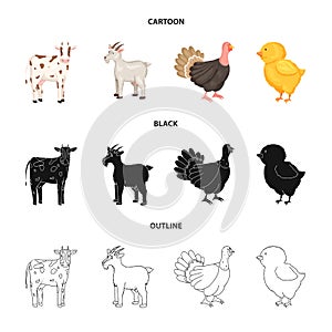 Vector design of breeding and kitchen icon. Set of breeding and organic stock symbol for web.