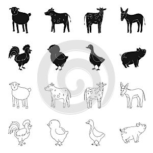 Vector design of breeding and kitchen sign. Set of breeding and organic stock symbol for web.