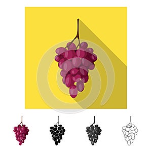 Vector design of bunch and grape icon. Collection of bunch and wine stock symbol for web.