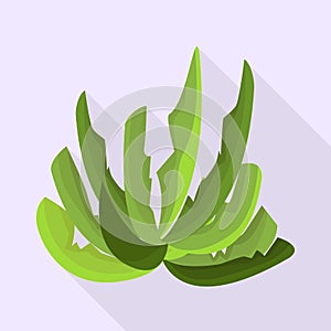 Vector design of bush and green logo. Set of bush and growth vector icon for stock.