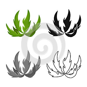 Vector design of bush and meadow icon. Collection of bush and decorative stock vector illustration.